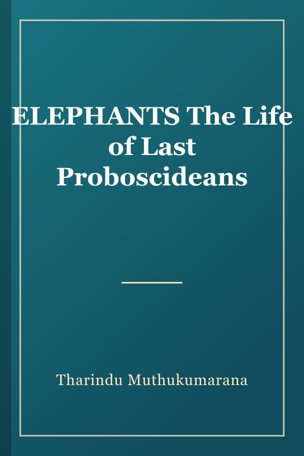 ELEPHANTS The Life of Last Proboscideans