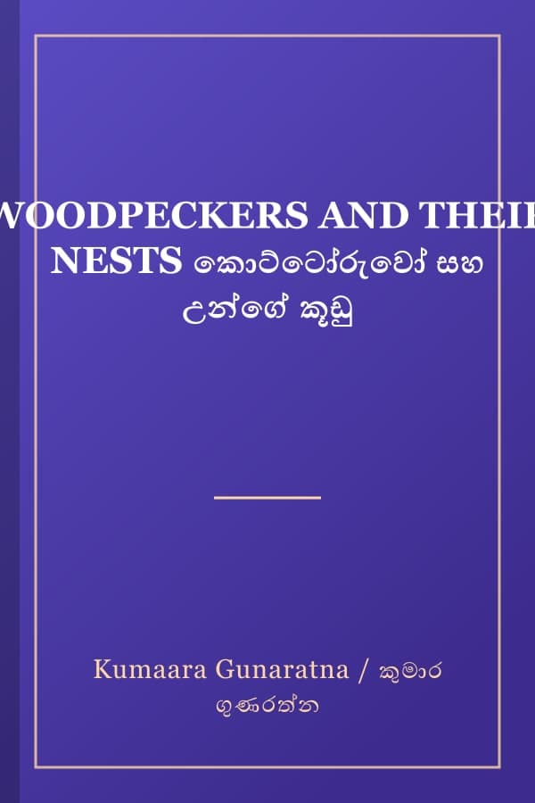 WOODPECKERS AND THEIR NESTS කොට්ටෝරුවෝ සහ උන්ගේ කූඩු