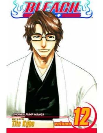 Bleach Volume 12