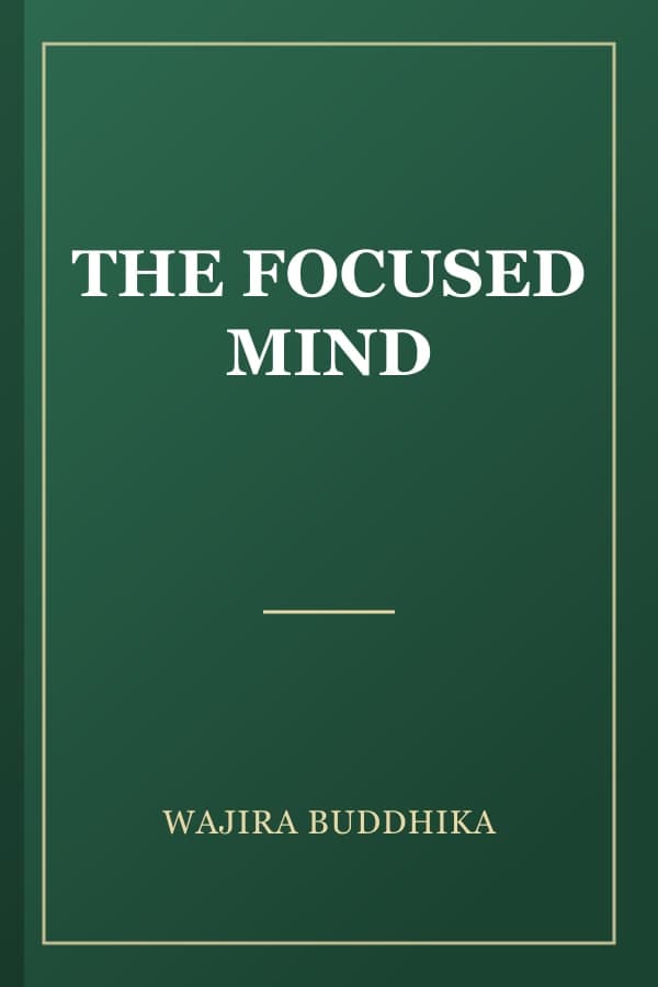 THE FOCUSED MIND