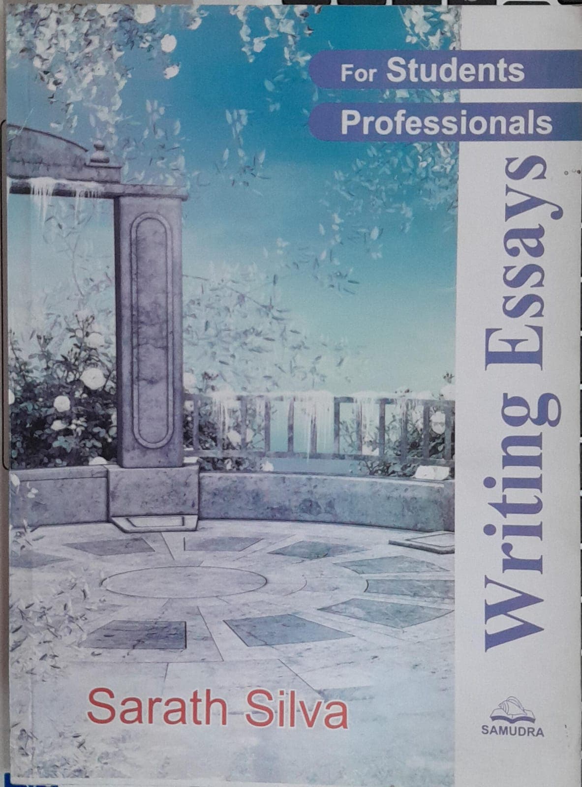 Writing Essays For Students Professionals