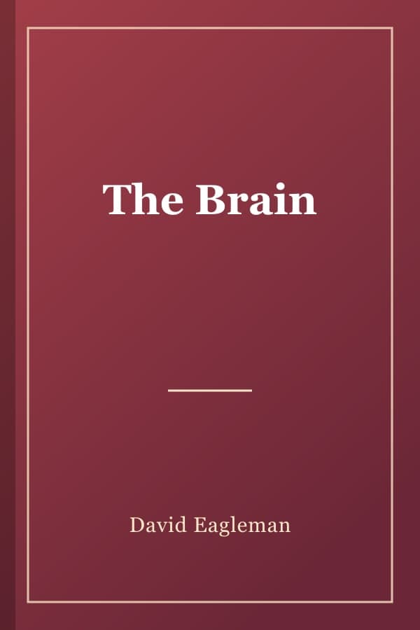 The Brain