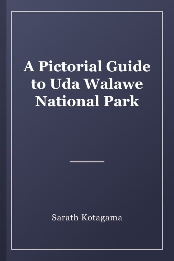 A Pictorial Guide to Uda Walawe National Park