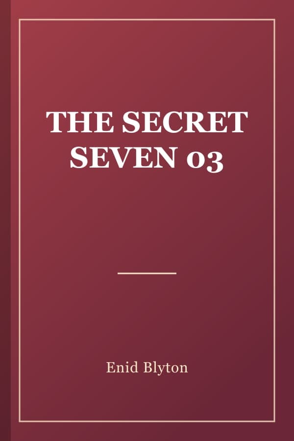 THE SECRET SEVEN 03