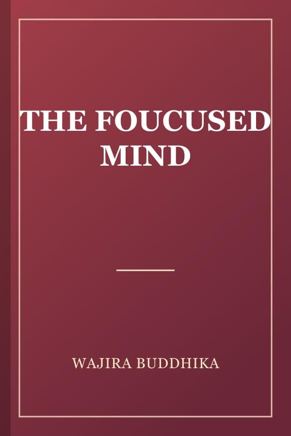 THE FOUCUSED MIND