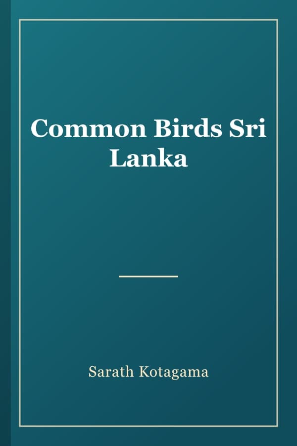 Common Birds Sri Lanka