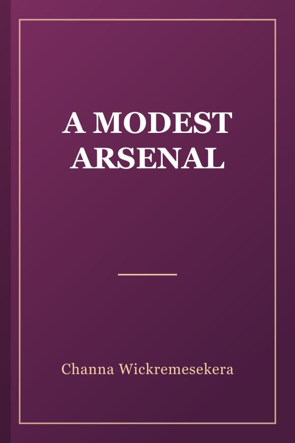 A MODEST ARSENAL
