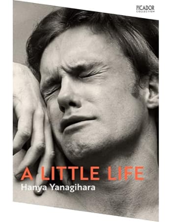 A Little Life