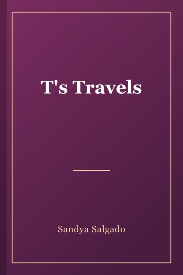 T's Travels
