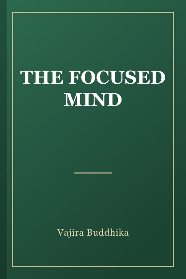 THE FOCUSED MIND