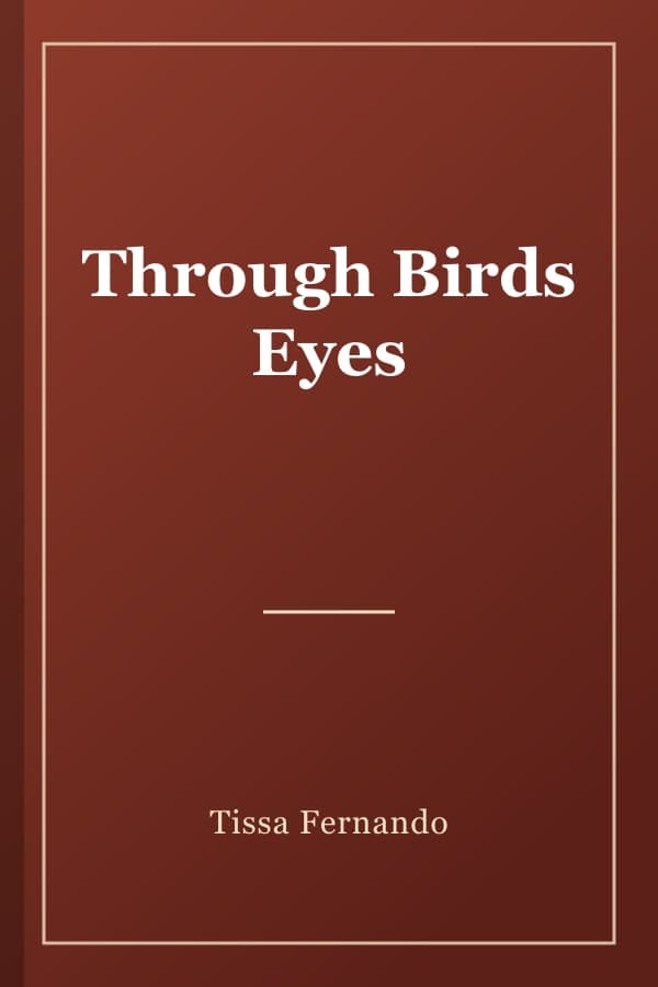 Through Birds Eyes