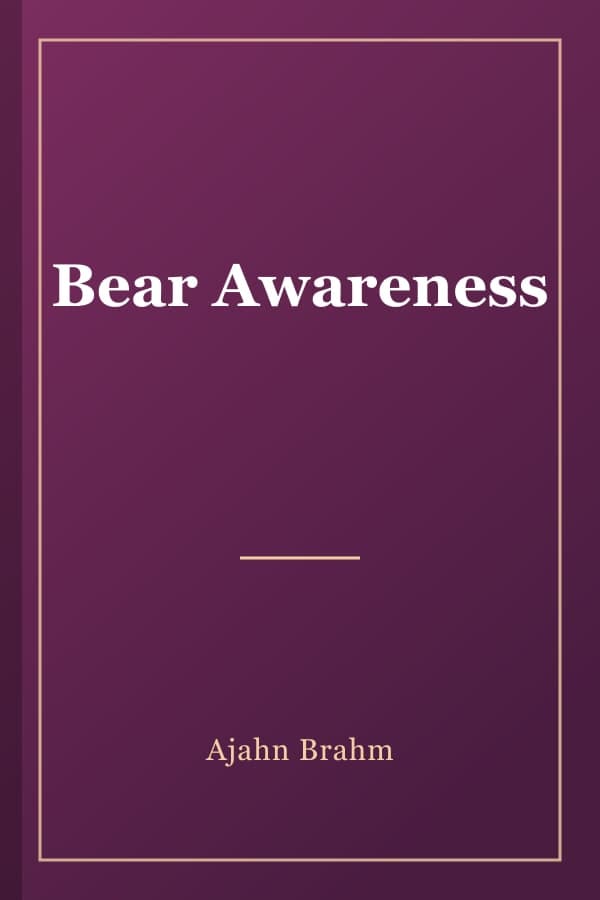 Bear Awareness