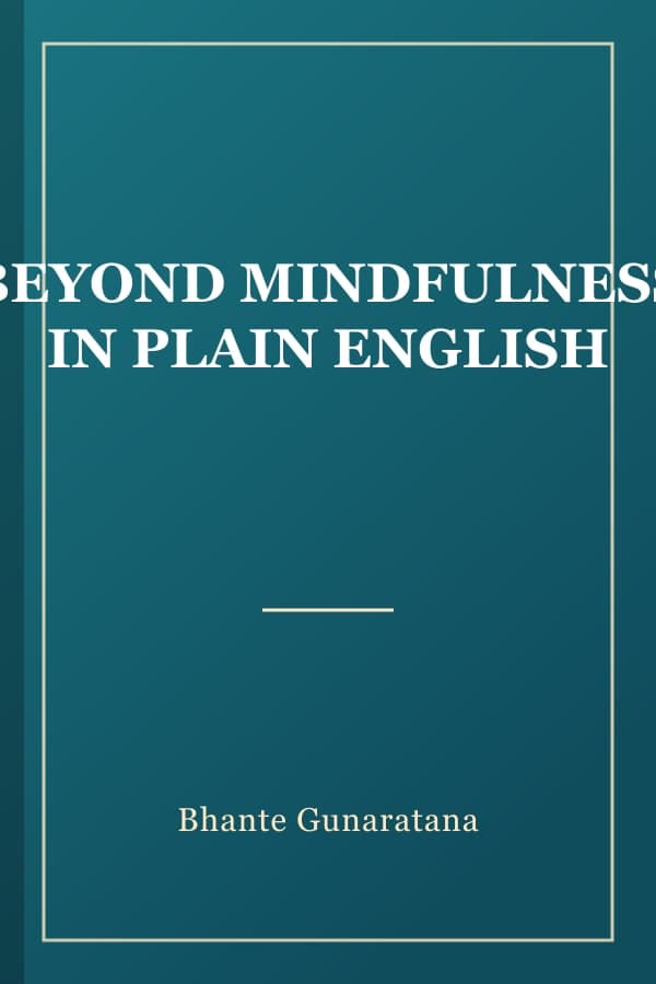 BEYOND MINDFULNESS IN PLAIN ENGLISH