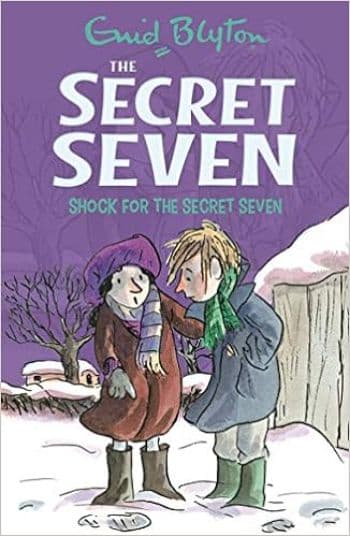 The Secret Seven 13